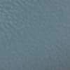 Cornflower Blue