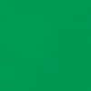 Cilantro Green