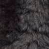 Dark Charcoal