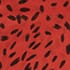 Red Navy