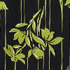 Navy Green