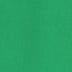 Cilantro Green