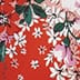 Red Rose Multi