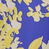 Blue Yellow