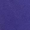Allium Blue