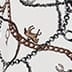 Ivory Multi