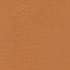Vicuna
