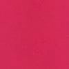 Zinnia Pink