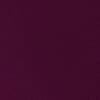 Warm Plum